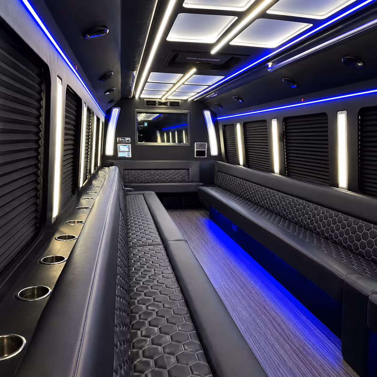 birthday party bus rental